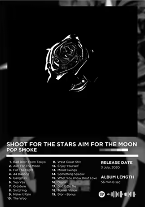 SHOOT FOR THE STARS AIM FOR THE MOON Poster