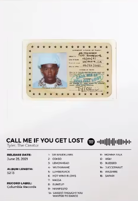 CALL ME IF YOU GET LOST Poster